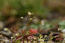 BUITEN BEELD Foto: 365845