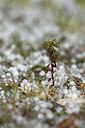 BUITEN BEELD Foto: 365846
