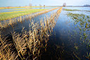 BUITEN BEELD Foto: 365877