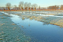 BUITEN BEELD Foto: 365882