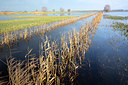 BUITEN BEELD Foto: 365962