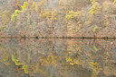 BUITEN BEELD Foto: 365992