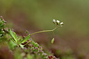 BUITEN BEELD Foto: 366098