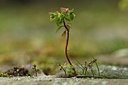 BUITEN BEELD Foto: 366099