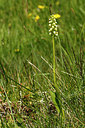 BUITEN BEELD Foto: 366668