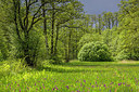 BUITEN BEELD Foto: 366898