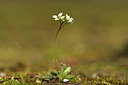 BUITEN BEELD Foto: 366975