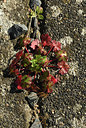 BUITEN BEELD Foto: 366977