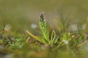 BUITEN BEELD Foto: 366985
