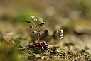 BUITEN BEELD Foto: 366991