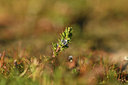 BUITEN BEELD Foto: 367009