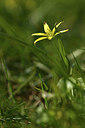 BUITEN BEELD Foto: 367250