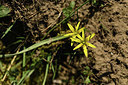 BUITEN BEELD Foto: 367257