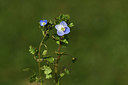 BUITEN BEELD Foto: 367263