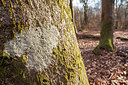 BUITEN BEELD Foto: 367296