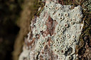 BUITEN BEELD Foto: 367298