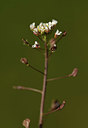 BUITEN BEELD Foto: 367369