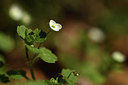 BUITEN BEELD Foto: 367376