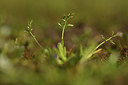 BUITEN BEELD Foto: 367377
