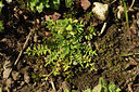 BUITEN BEELD Foto: 367389