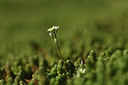 BUITEN BEELD Foto: 367735