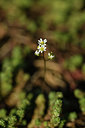 BUITEN BEELD Foto: 367760