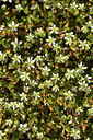 BUITEN BEELD Foto: 367766