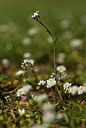 BUITEN BEELD Foto: 367780