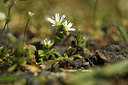 BUITEN BEELD Foto: 367782
