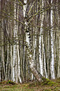 BUITEN BEELD Foto: 367988
