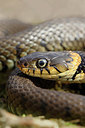 BUITEN BEELD Foto: 368303