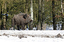 BUITEN BEELD Foto: 368372