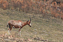 BUITEN BEELD Foto: 368378