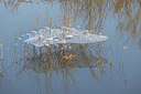 BUITEN BEELD Foto: 368402