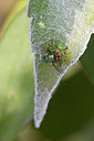 BUITEN BEELD Foto: 368481
