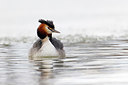 BUITEN BEELD Foto: 368575