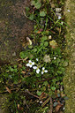 BUITEN BEELD Foto: 368708