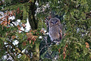 BUITEN BEELD Foto: 368808