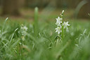 BUITEN BEELD Foto: 368827