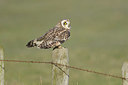 BUITEN BEELD Foto: 368951