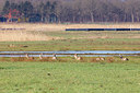 BUITEN BEELD Foto: 368975
