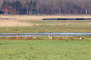 BUITEN BEELD Foto: 368975