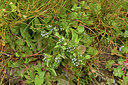 BUITEN BEELD Foto: 368990