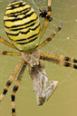 BUITEN BEELD Foto: 36106