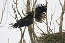 BUITEN BEELD Foto: 36182
