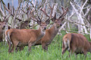 BUITEN BEELD Foto: 36185