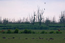 BUITEN BEELD Foto: 36202