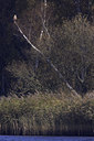 BUITEN BEELD Foto: 36241