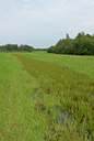 BUITEN BEELD Foto: 36251