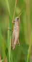 BUITEN BEELD Foto: 36281